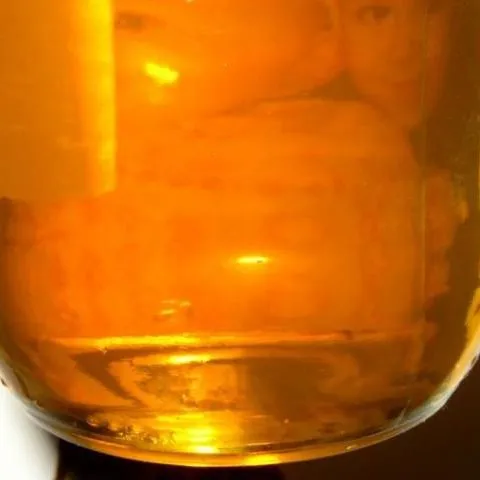 thumbnail for publication: Infant Botulism and Honey